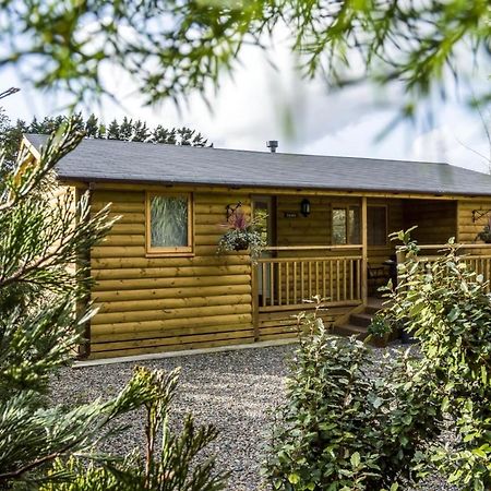 Fern Lodge - 2 Bedroom Log Cabin - Saint Florence - Tenby מראה חיצוני תמונה